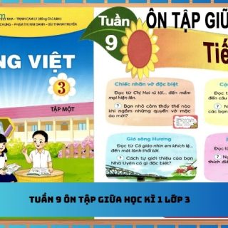 Tuần 9 ôn tập giữa học kì 1 lớp 3