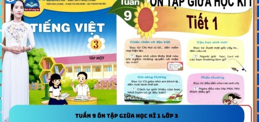 Tuần 9 ôn tập giữa học kì 1 lớp 3
